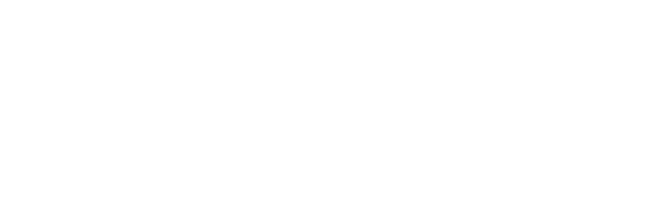 Nvedya group of companies logo